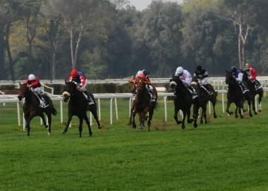 <b>IPPICA</b> Un arrivo a San Rossore 