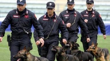 Il Nucleo cinofili dei carabinieri in azione al Castellani