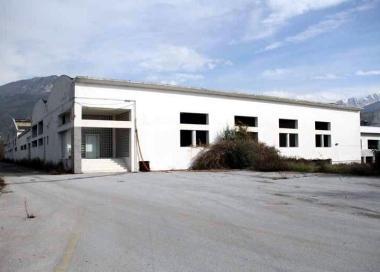 <b>LAREA.</b> Una veduta dellex area Gesco e sotto limprenditore Alberto Ricciardi  