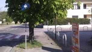Via Fucecchiello con le fronde degli alberi ad altezza d’uomo