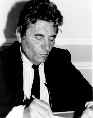 Vittorio Marchi 