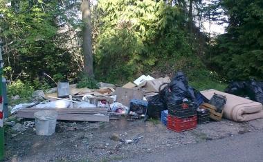 <b>DISCARICA. </b>Lungo la provinciale Amiatina 