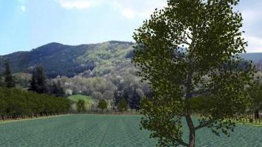 <b>PROGETTO.</b> Il laghetto a Pescina di Seggiano
