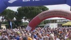La Strapazzata 2010