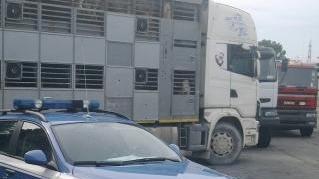 La polizia intervenuta sulle rapine