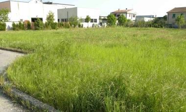 Erba alta, giardini "vietati" ai bambini