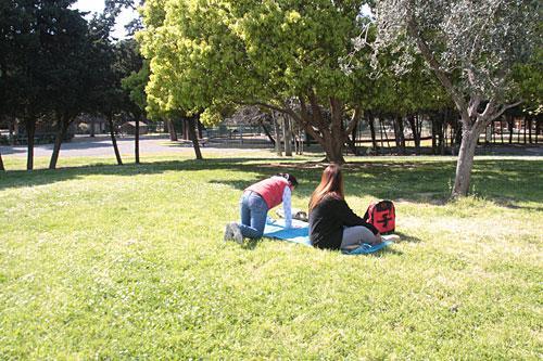 Pochi giochi, giardini bocciati
