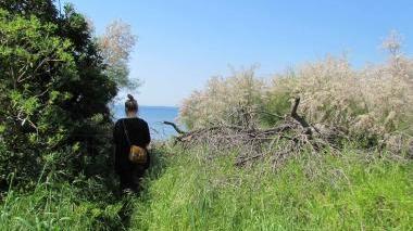 Sopra il cancello del giardino conquistato dalla vegetazione