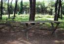 La pineta di Vada è al buio