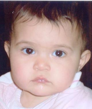 PRIMA CANDELINA