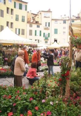 La fiera di Santa Zita 
