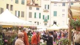 La fiera di Santa Zita