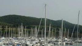 <b>POLEMICA.</b> Sul porto di Scarlino