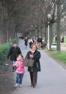 Gli alberi lungo la pista ciclabile di viale Galilei     