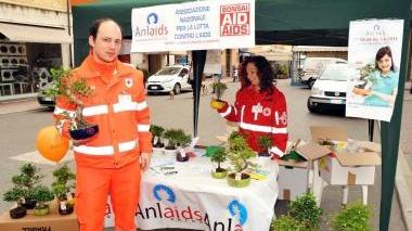 In piazza i bonsai per la lotta all'Aids