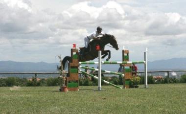 <b>INCIDENTE </b>Unamazzone a cavallo in una foto darchivio  