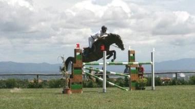 <b>INCIDENTE </b>Un’amazzone a cavallo in una foto d’archivio