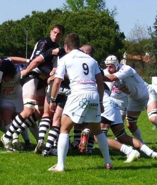 I Cavalieri in azione   