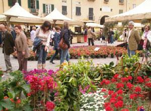 Tripudio di fiori per Santa Zita Fino a mercoledì fiera all'Anfiteatro