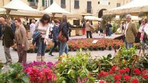 Tripudio di fiori per Santa Zita Fino a mercoledì fiera all'Anfiteatro
