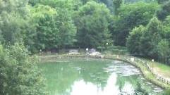Pranzo e pic-nic sotto il ponte sospeso