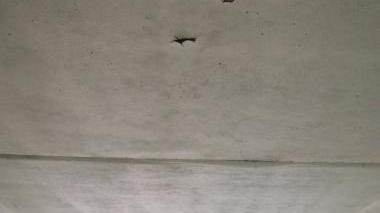 <strong>PIOVE.</strong> Il soffitto bucato dall’acqua