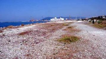 L’area dove dovrebbe sorgere il porto turistico