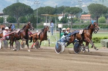 Ricco il programma di corse del Sesana oggi e domani pomeriggio        