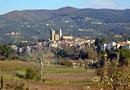Il turismo va: in aumento le presenze