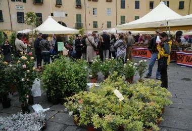Il mercato dei fiori di Santa Zita e la folla in centro 