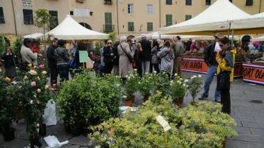 Il mercato dei fiori di Santa Zita e la folla in centro