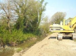 Lavori ad un torrente: «Così si fa una strage di piante e animali»