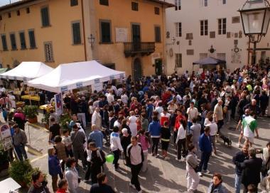 Raccolti 9mila euro alla corsa in ricordo di Paolo Pieraccini