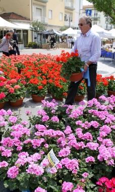 Marina in fiore 