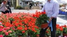 Marina in fiore