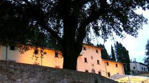 Danneggiate 11 tombe nel cimitero storico di Gricigliana