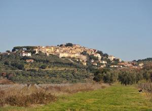 Un mese dedicato ai produttori di olio e vino