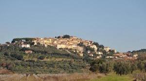 Un mese dedicato ai produttori di olio e vino