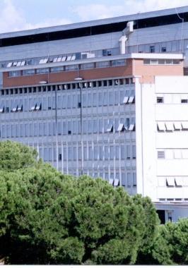 <b>NEL MIRINO </b>Lospedale di Grosseto      