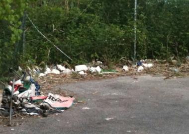 I rifiuti abbandonati a Camigliano 