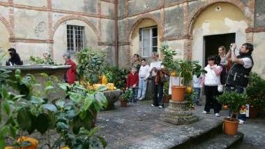 Un giardino a Buggiano Castello