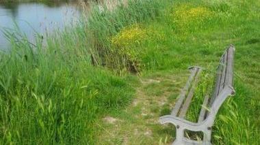 <b>DEGRADO. </b>In alto la panchina che scompare nell’erba davanti al lago