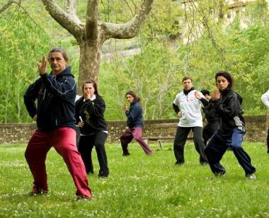 Dimostrazione di Taiji ai giardini pubblici     