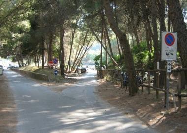 <b>LAVORI.</b> Alla Feniglia 