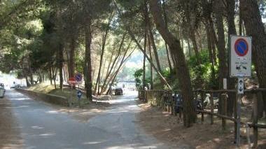<b>LAVORI.</b> Alla Feniglia
