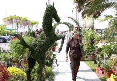 <b>MARINA.</b> Gli stand di fiori, prodotti tipici e arredi da giardino della scorsa edizione di Marina in Fiore a Tonfano e del Country e Garden nel parco della Versiliana 