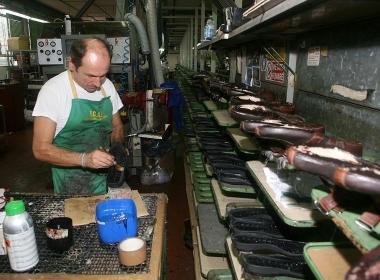 Sei usurato? In pensione a 58 anni