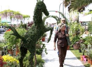 Un weekend tra fiori e merletti