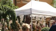 <b>NATURA.</b> Un particolare di “Marina in fiore”
