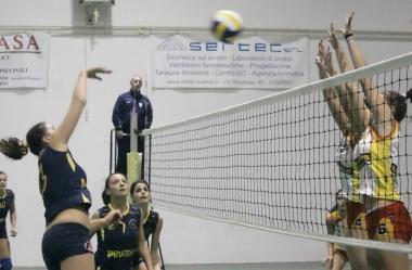 Pediatrica a Siena pensando ai playoff